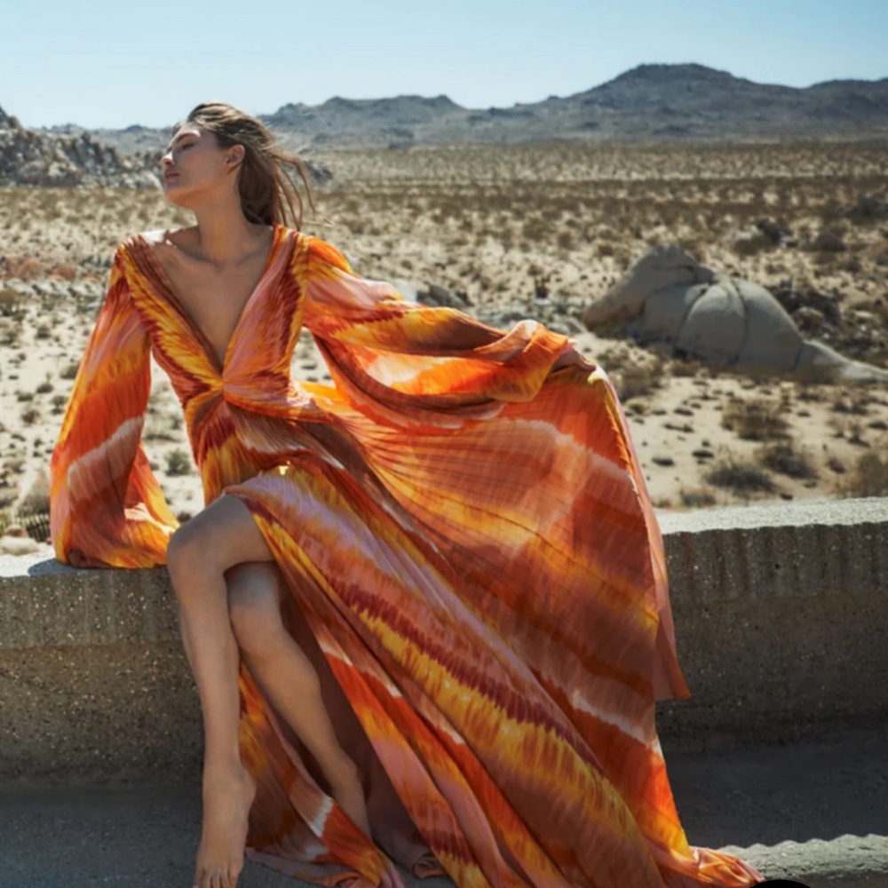 ALEXIS Este Puff Sleeve Plissé Sunset Maxi Dress NWT Small